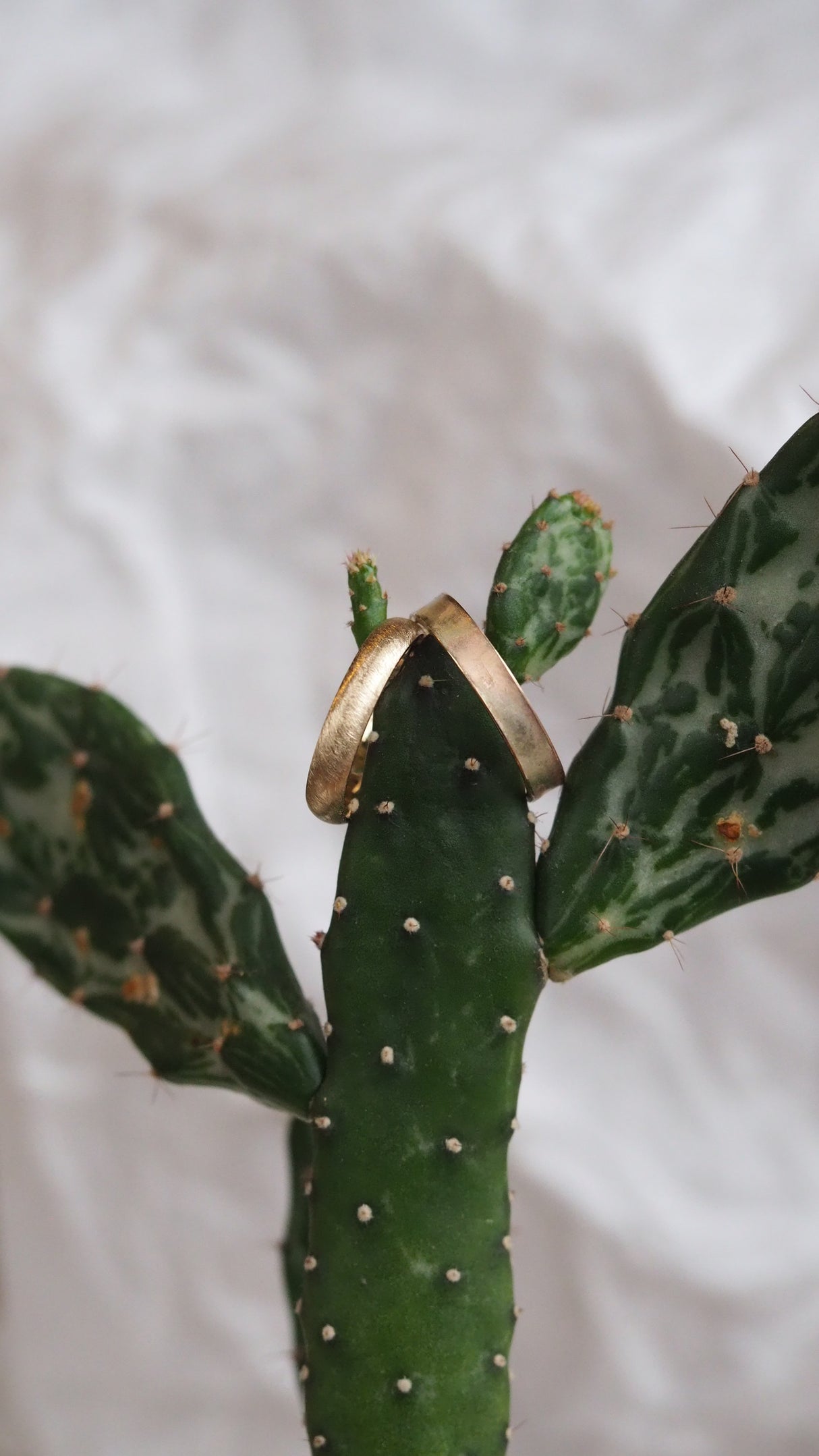 9ct gold 4mm Brushed finish mens wedding band