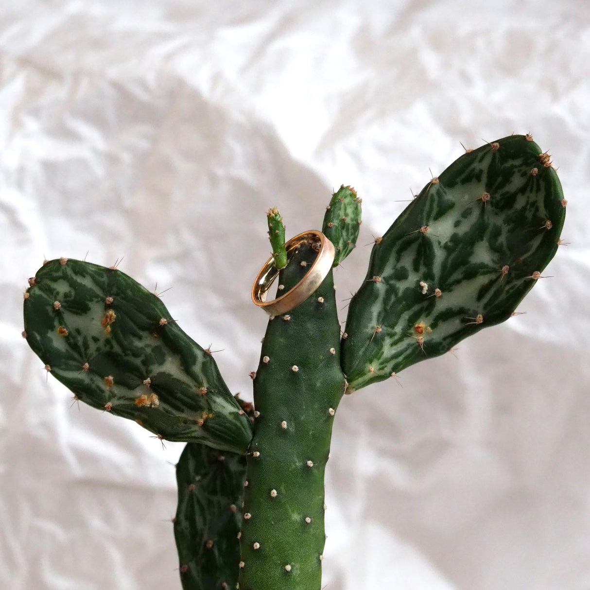 4mm 9ct gold patina finish mens wedding ring