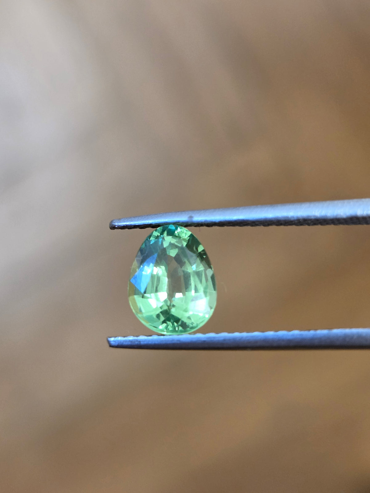 Egg shaped Tsavorite garnet